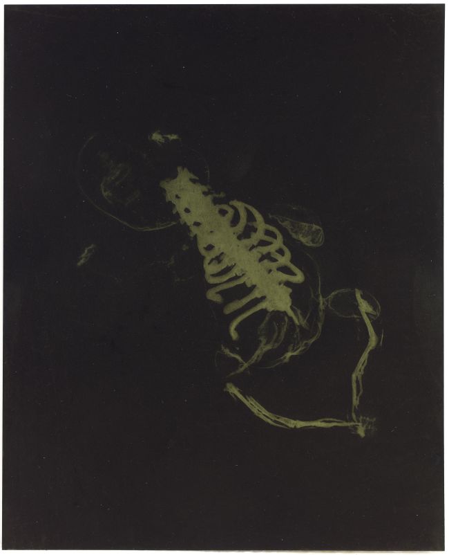Click the image for a view of: Rosemarie Marriott. vroed 2. Polymer etching plate